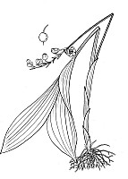 J1888.jpg J1888.jpg