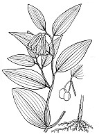 J1889.jpg J1889.jpg