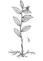 J1890.jpg J1890.jpg