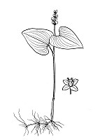 J1892.jpg J1892.jpg