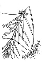 J1901.jpg J1901.jpg