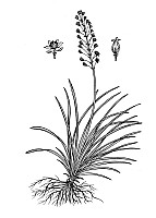 J1910.jpg J1910.jpg
