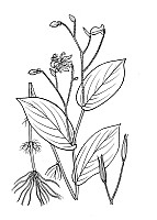J1912.jpg J1912.jpg