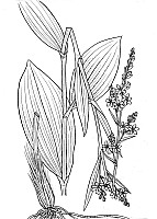 J1913.jpg J1913.jpg