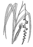 J1914.jpg J1914.jpg