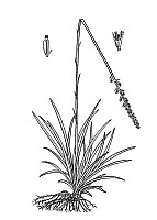 J1920.jpg J1920.jpg