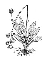 J1922.jpg J1922.jpg