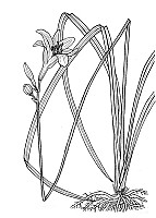 J1926.jpg J1926.jpg