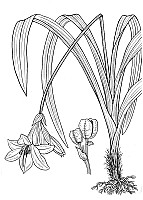 J1927.jpg J1927.jpg