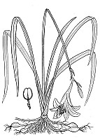 J1928.jpg J1928.jpg