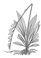 J1929.jpg J1929.jpg