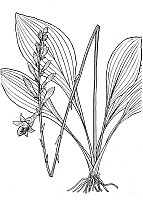 J1932.jpg J1932.jpg