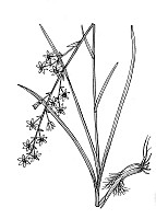 J1935.jpg J1935.jpg