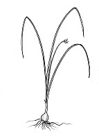 J1939.jpg J1939.jpg