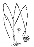 J1940.jpg J1940.jpg