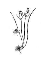 J1947.jpg J1947.jpg