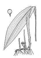 J1950.jpg J1950.jpg