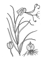 J1952.jpg J1952.jpg