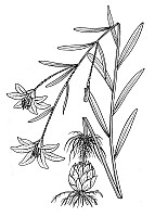 J1956.jpg J1956.jpg