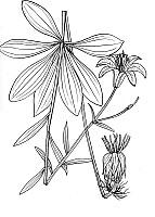 J1962.jpg J1962.jpg