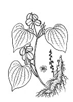 J1977.jpg J1977.jpg