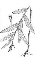 J2003.jpg J2003.jpg