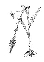 J2021.jpg J2021.jpg