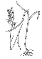 J2022.jpg J2022.jpg