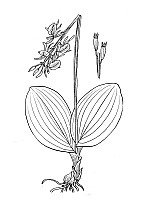 J2025.jpg J2025.jpg