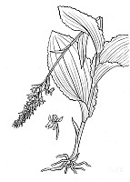 J2032.jpg J2032.jpg