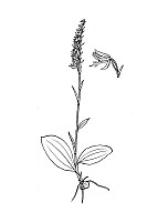 J2033.jpg J2033.jpg