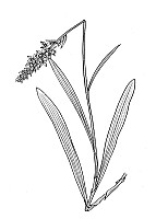 J2036.jpg J2036.jpg