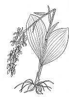 J2043.jpg J2043.jpg