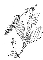 J2045.jpg J2045.jpg