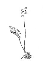 J2050.jpg J2050.jpg